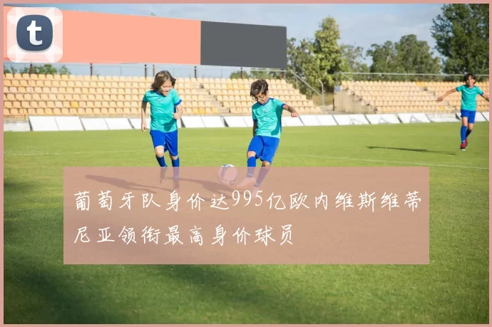 葡萄牙队身价达995亿欧内维斯维蒂尼亚领衔最高身价球员