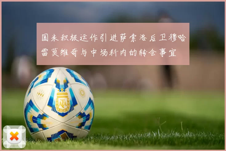 国米积极运作引进萨索洛后卫穆哈雷莫维奇与中场科内的转会事宜